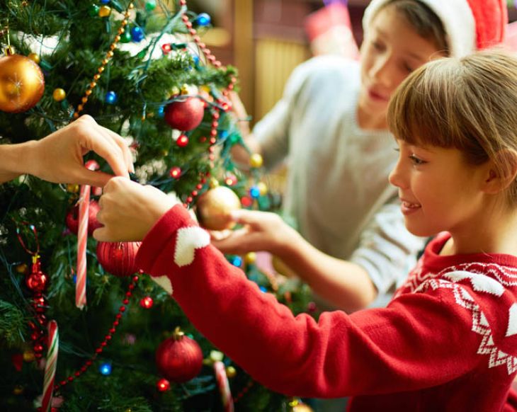 When do you put up your Christmas tree? Readers tell all!