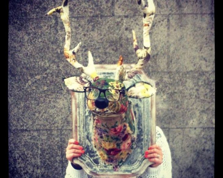 Editor's Pick / Kyle Lane Upcycled Stag's Head