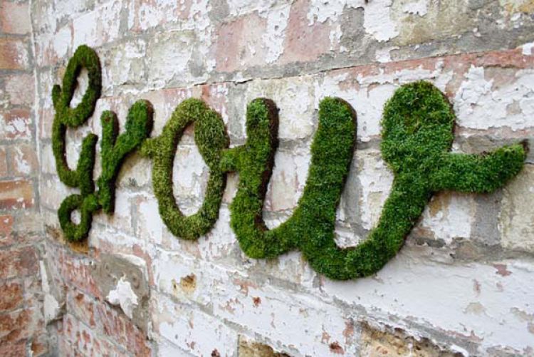 How to make moss wall art HouseAndHome.ie