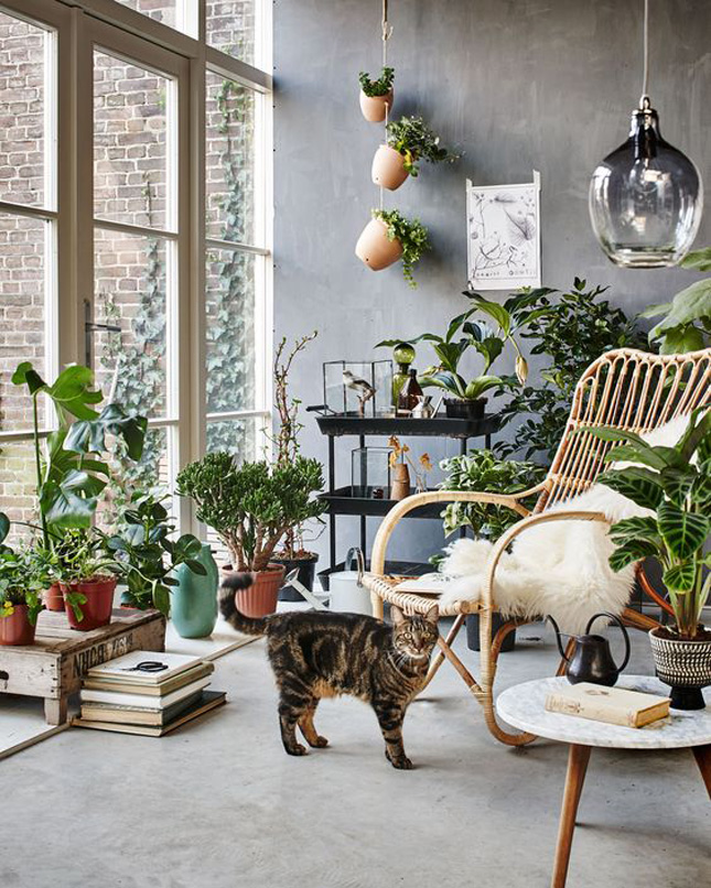 via  VT Wonen Photography Jeroen van der Spek | Styling Anke Helmich