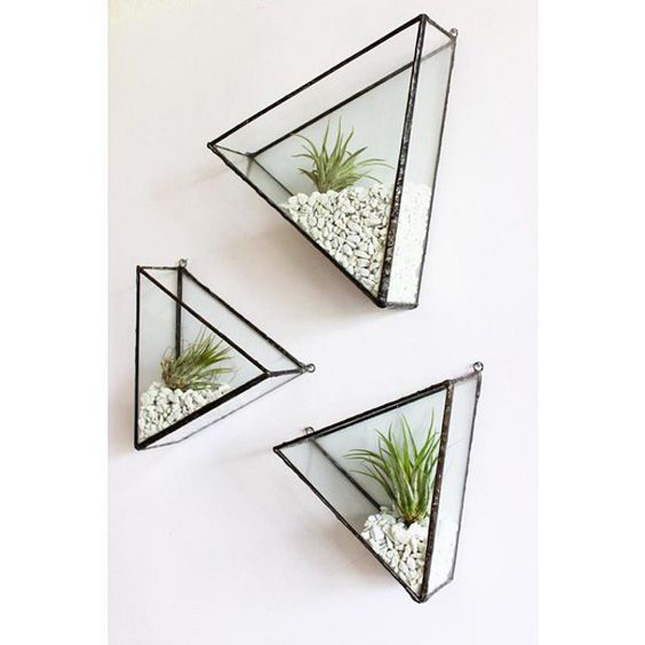 Geometric terrariums