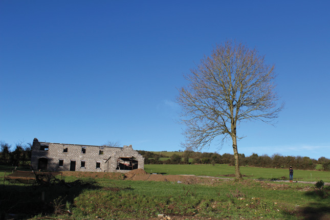 Irish self build