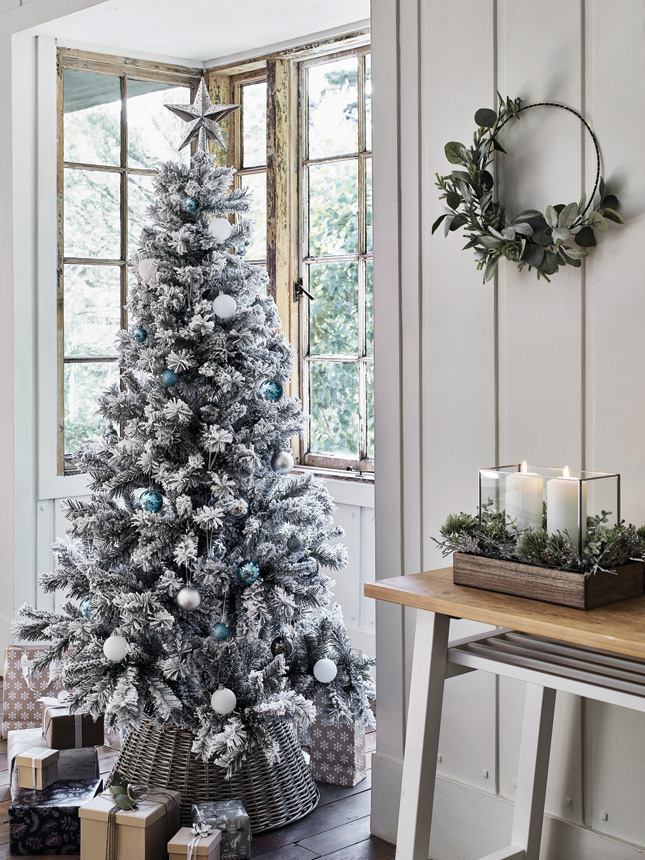 Everything You Need To Know About Buying An Ethical Christmas Tree Houseandhome Ie