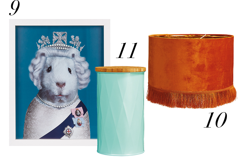 Homesense hero awards print, canister and lampshade 