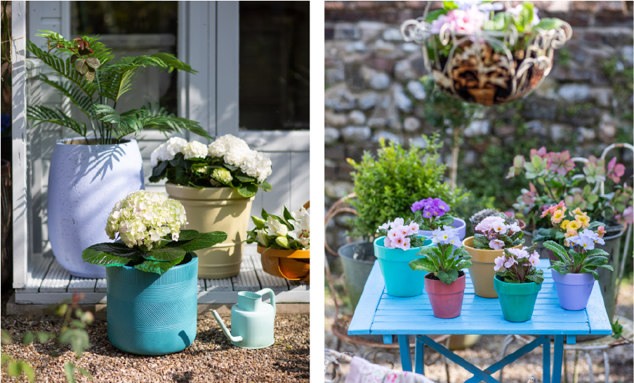 Images of Sadolin Superdec Satin paint used in the garden - on pots and furniture