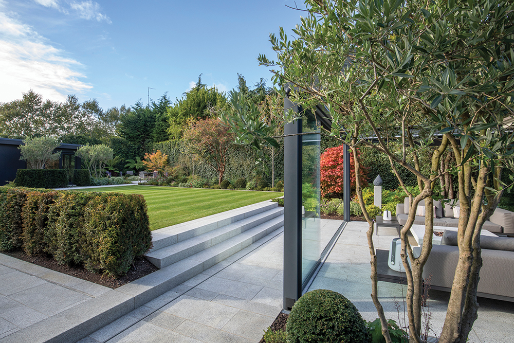 Image of garden designed by Dominick Murphy of Murphy Sheanon