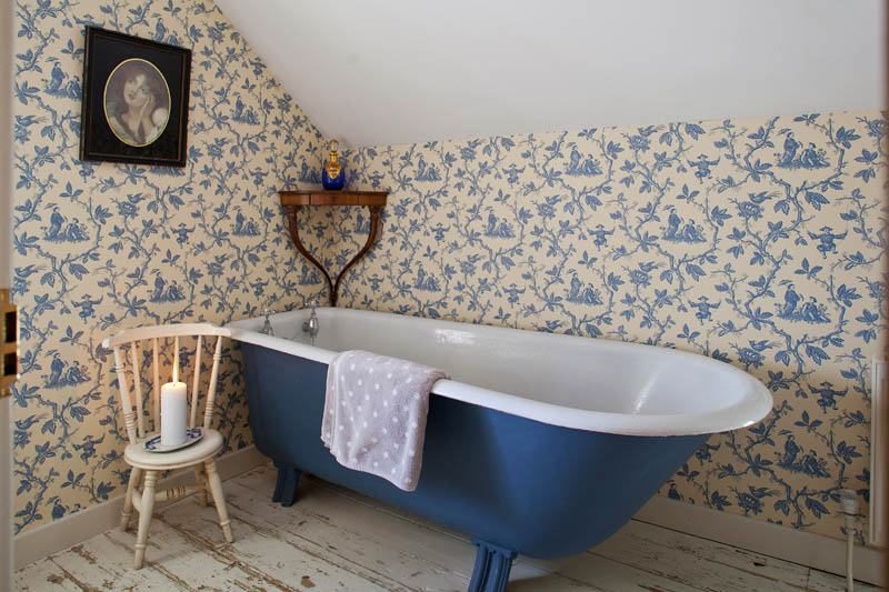 my style - old fashioned painted bathtub