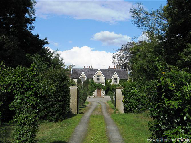 House of the week A style manor in Nurney, County Carlow